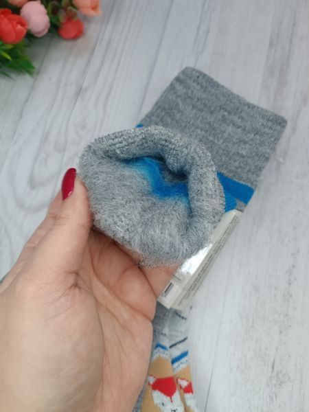 Носки для мальчика Lupilu набор 2 шт ультра теплые 0669 фото