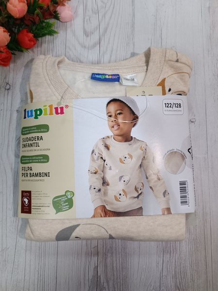 Кофта для хлопчика Lupilu світшот на флісі 0517 фото