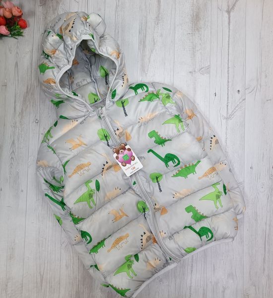 Дитяча куртка демісезонна HAOJIEKIDS для хлопчика 8317 фото